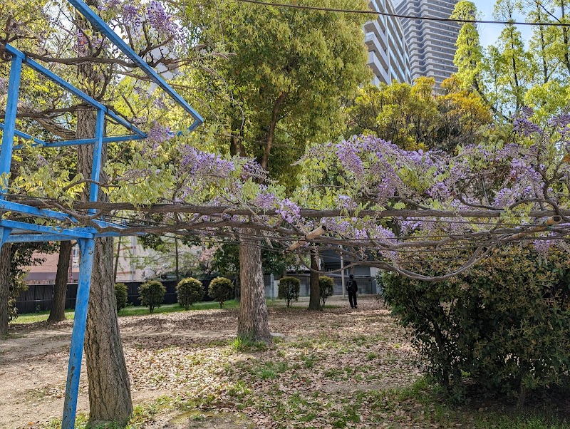 野田ふじと藤邸の庭(藤庵)