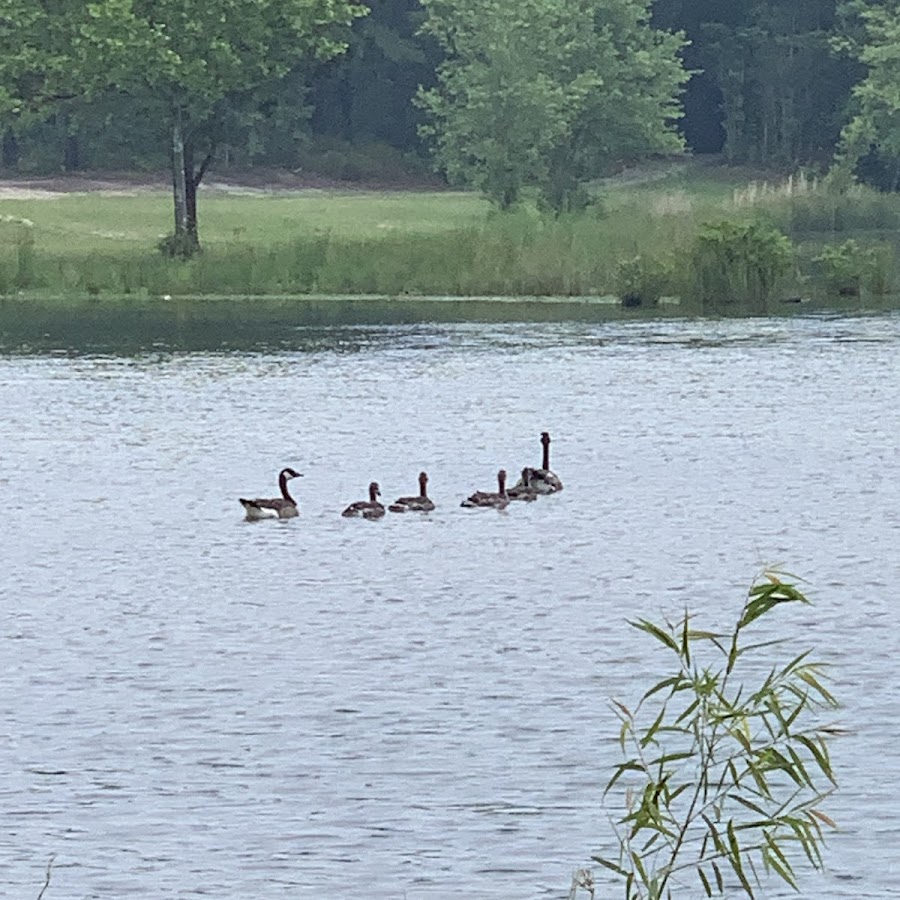 Sand Beach Lake