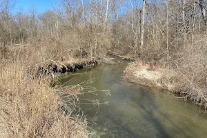 Sara Lee Arnovitz Nature Preserve image