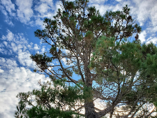 Park «Blackie Chesher Park», reviews and photos, 1100 N Zaragoza Rd, El Paso, TX 79907, USA