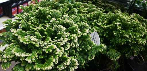 Hardware Store «Fairmount Hardware», reviews and photos, 2011 Fairmount Ave, Philadelphia, PA 19130, USA