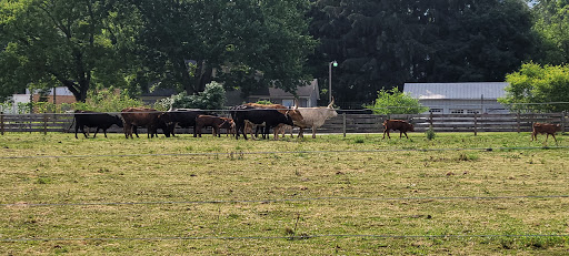 Butcher Shop «Duma Meats Inc», reviews and photos, 857 Randolph Rd, Mogadore, OH 44260, USA