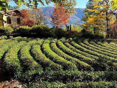 Japanischer Teegarten