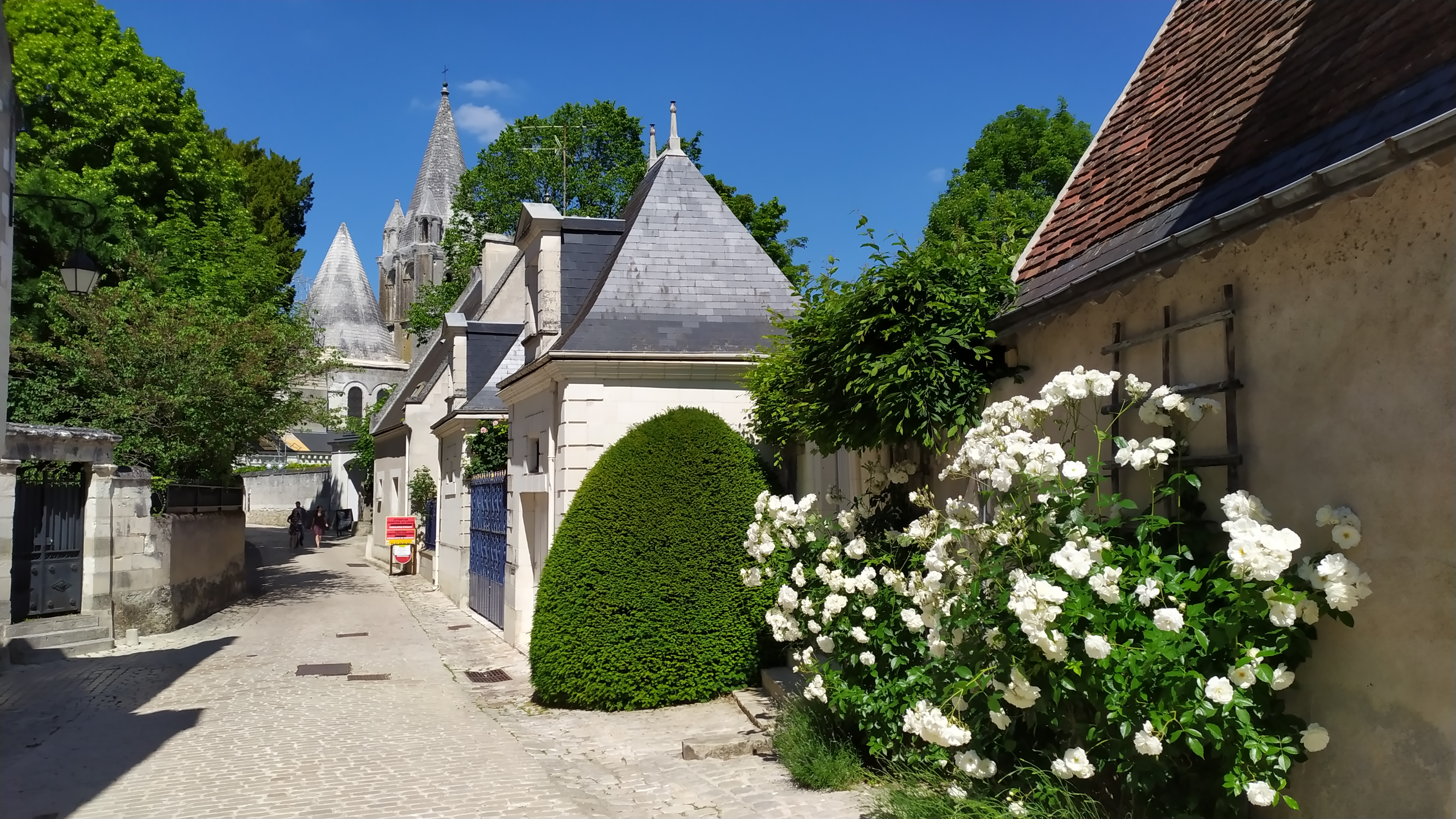 Photo n° 5 de l'avis de R. fait le 01/06/2019 à 06:33