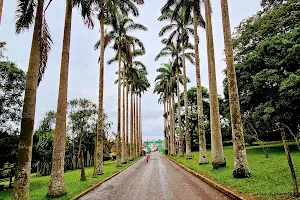 Aburi Botanical Gardens & Park | TortoisePath.com image