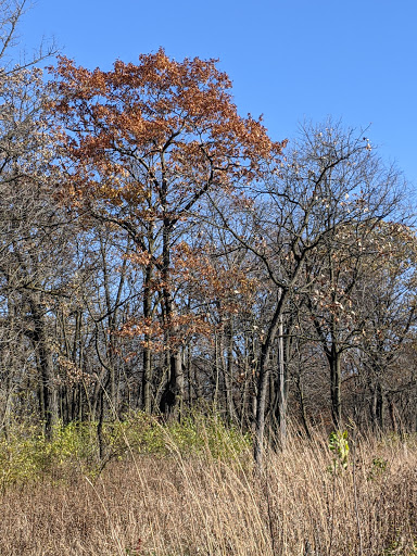 Learning Center «Sagawau Environmental Learning Center», reviews and photos, 12545 111th St, Lemont, IL 60439, USA