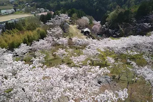 蘭丸ふる里の森 image