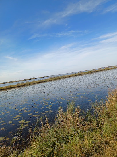 Horicon Marsh Scenic Outlook