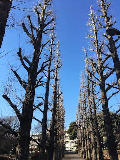 東京都立園芸高等学校