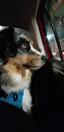 Ice Cream Shop «Sweet Alchemy», reviews and photos, 4301 University Way NE, Seattle, WA 98105, USA