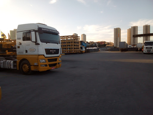 Logo da empresa - Santini Transportes e Centro de Destroca