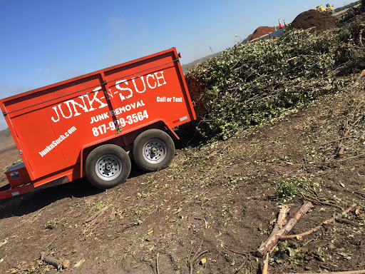 Debris removal service Waco