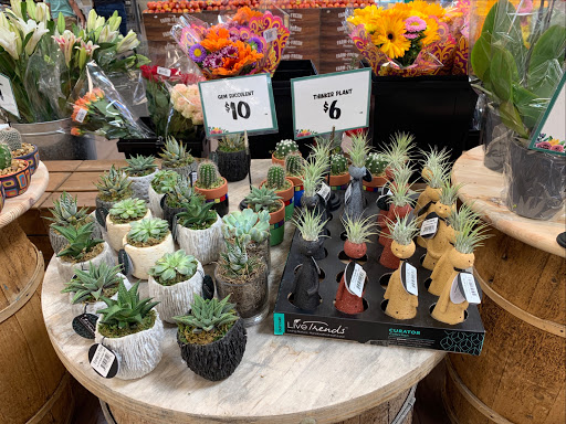 Health Food Store «Sprouts Farmers Market», reviews and photos, 111 E El Camino Real, Sunnyvale, CA 94087, USA