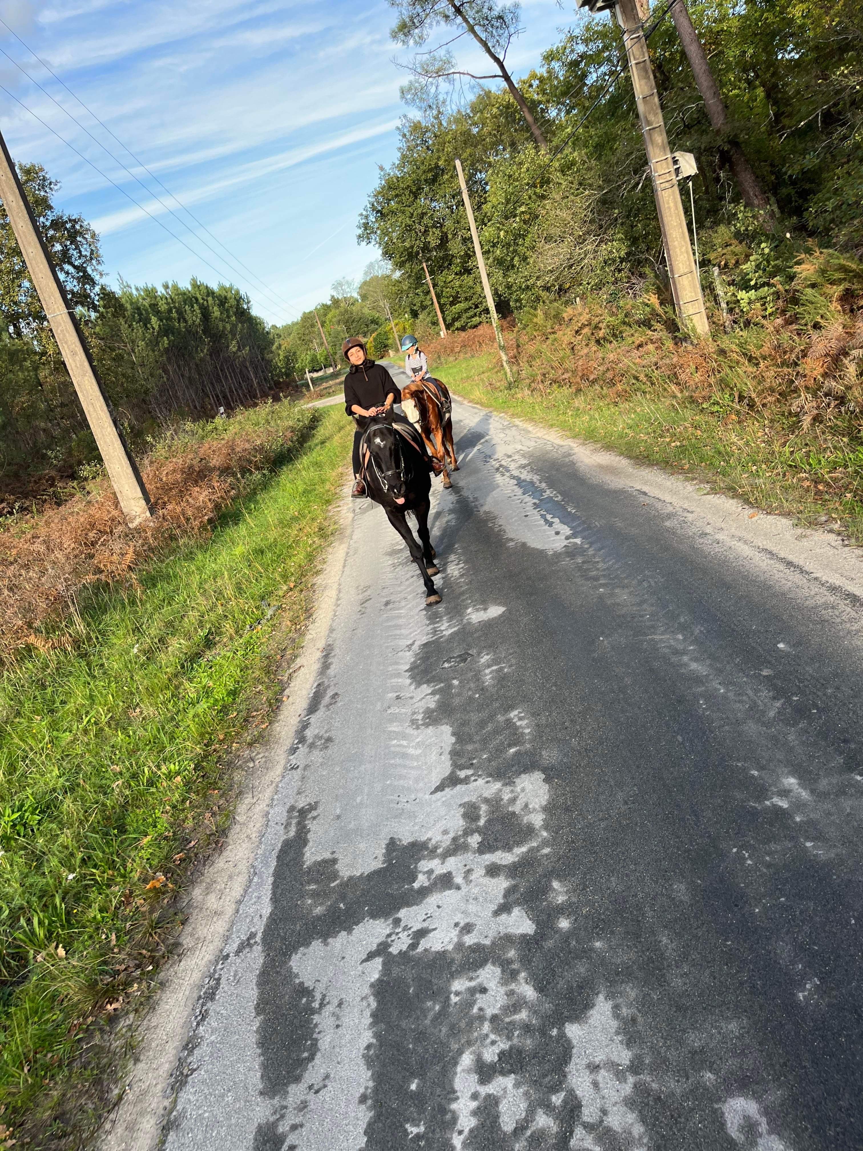 Photo n° 2 de l'avis de Naomy.a fait le 02/11/2022 à 16:39