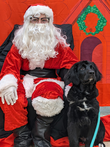 Pet Supply Store «PetSmart», reviews and photos, 4327 Genesee Valley Plaza, Geneseo, NY 14454, USA