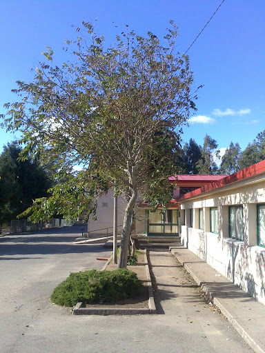 Centro Público Integrado Plurilingüe Santa Lucía en Moraña