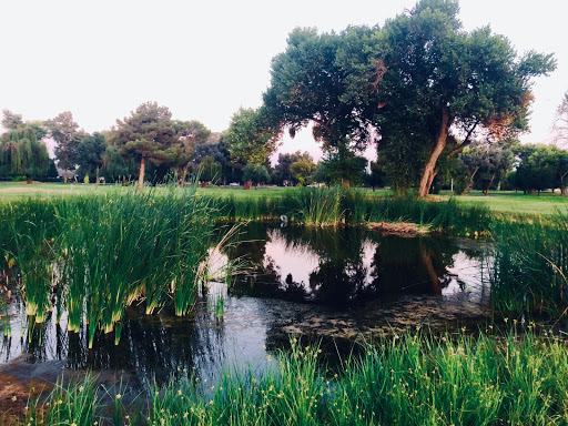 Golf Course «Lemoore Golf Course», reviews and photos, 350 Iona Ave, Lemoore, CA 93245, USA