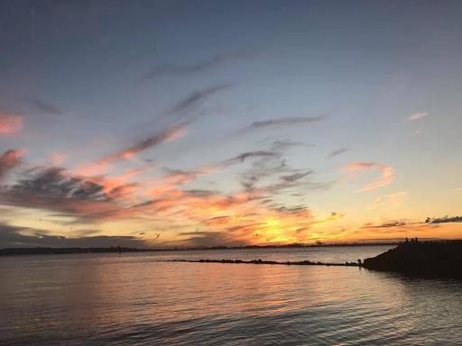 Employment Agency «Nube Employment Agency», reviews and photos, 480 Kings Hwy, Brooklyn, NY 11223, USA