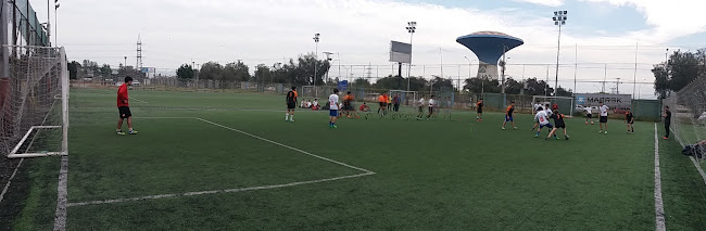 Liga Metropolitana - Campo de fútbol