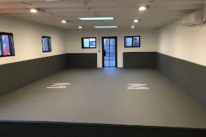 Torse House: Brazilian Jiu-Jitsu image