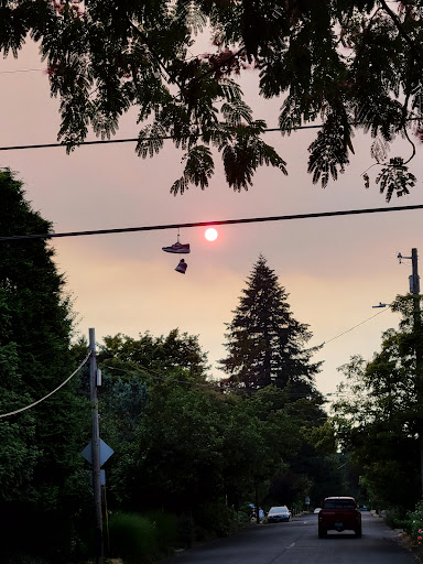 Park «Mt. Tabor Park», reviews and photos, SE Salmon St, Portland, OR 97215, USA