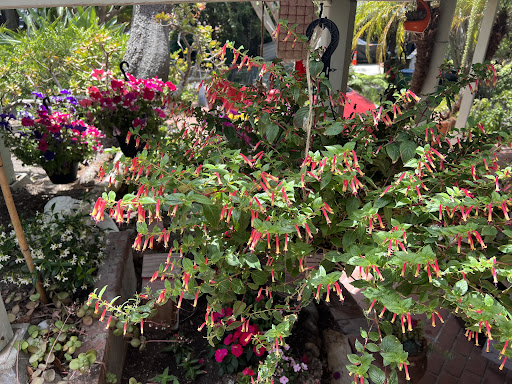 Home Improvement Store «The Home Depot», reviews and photos, 27401 La Paz Rd, Laguna Niguel, CA 92677, USA