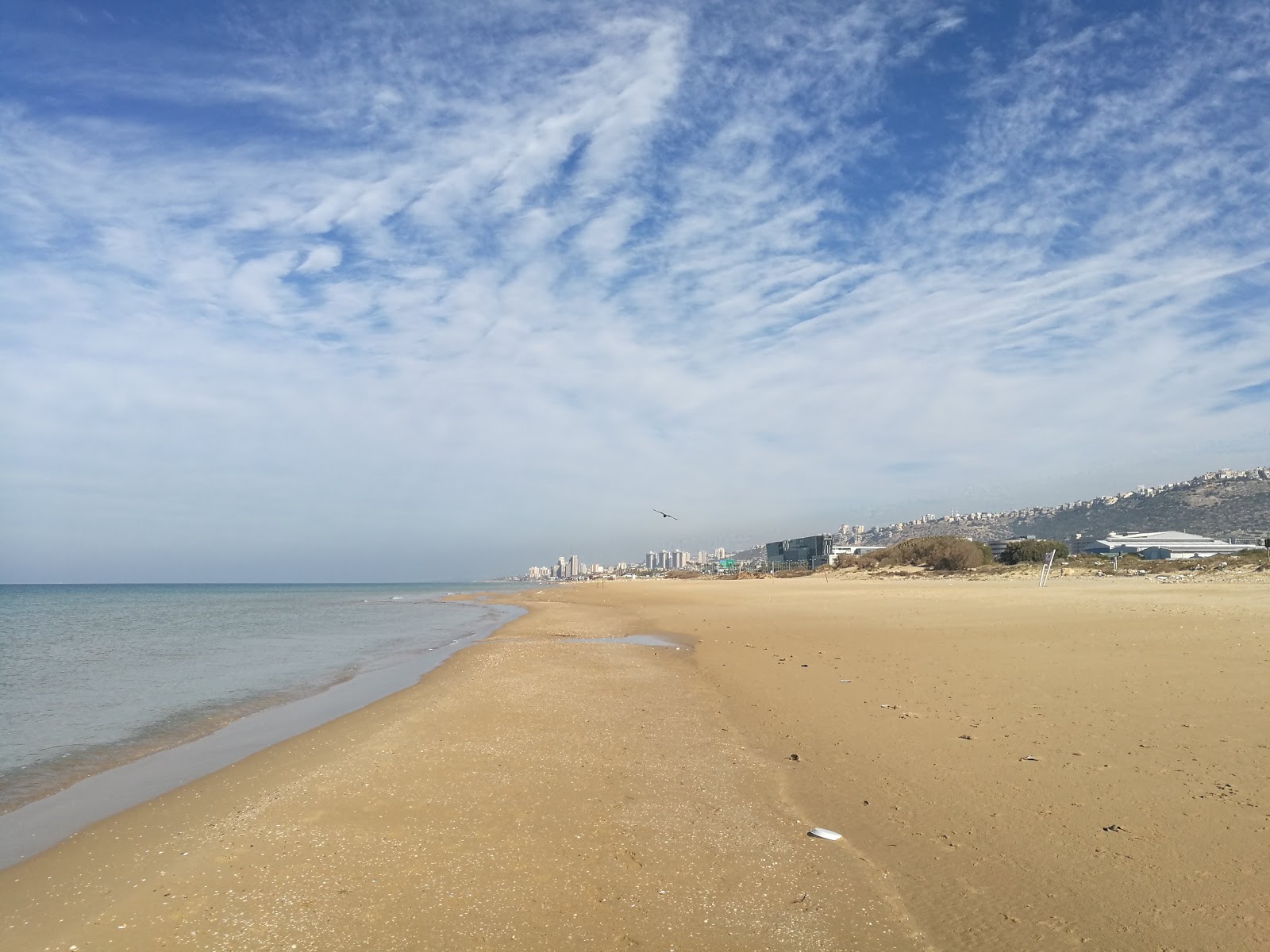 Foto di Hof HaCarmel con una superficie del sabbia beige