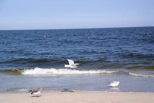 Recreation Center «Sandy Hook - Gateway National Recreation Area», reviews and photos, 128 S Hartshorne Dr, Highlands, NJ 07732, USA
