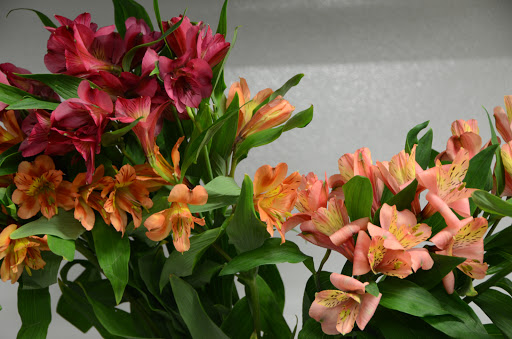 Florist «Bowden Flowers & Gifts», reviews and photos, 313 S 00 EW, Kokomo, IN 46902, USA