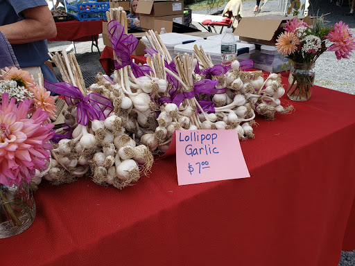 Ski Resort «Shawnee Mountain Ski Area», reviews and photos, 401 Hollow Rd, East Stroudsburg, PA 18301, USA