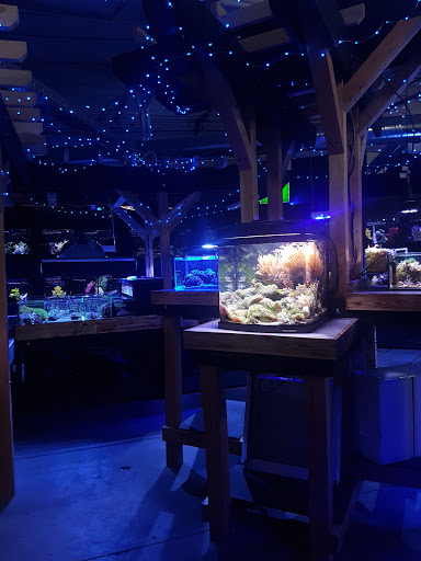 Tropical Fish Store «Elite Reef», reviews and photos, 8410 Wadsworth Blvd F, Arvada, CO 80003, USA