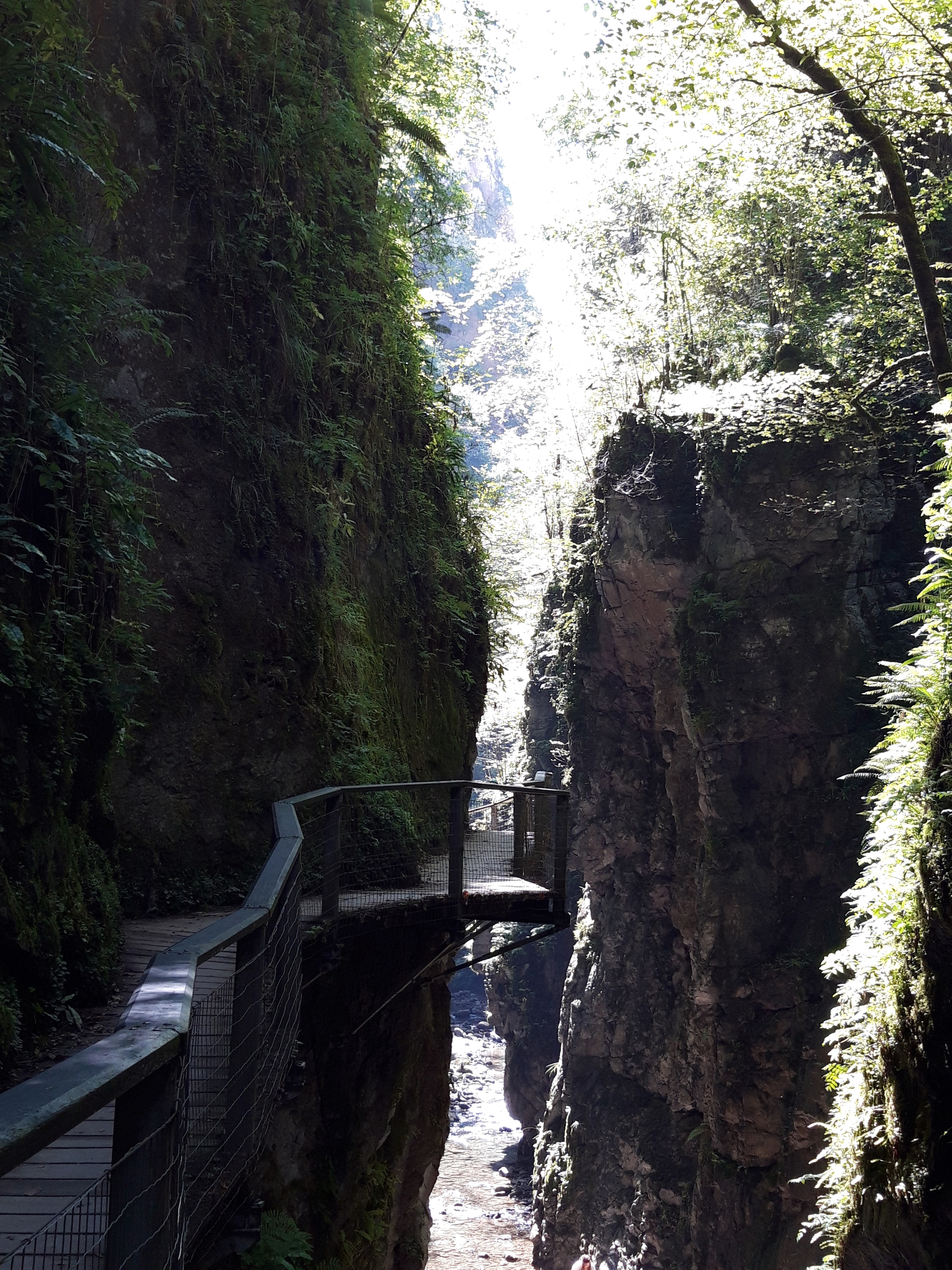 Photo n° 3 de l'avis de JOLY.i fait le 07/09/2019 à 21:41