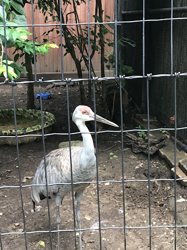 Zoo «Brandywine Zoo», reviews and photos, 1001 N Park Dr, Wilmington, DE 19802, USA