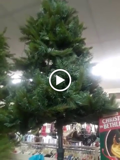 Thrift Store «American Family Services Inc», reviews and photos, 541 Milford St, Easton, PA 18045, USA