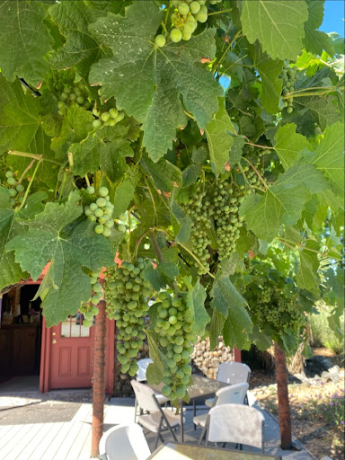 Winery «English Estate Winery», reviews and photos, 17806 SE 1st St, Vancouver, WA 98684, USA