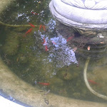 Photo n°20 de l'avis de Luisa. fait le 02/06/2018 à 16:53 sur le  Restaurant Lontero à Paganico Sabino