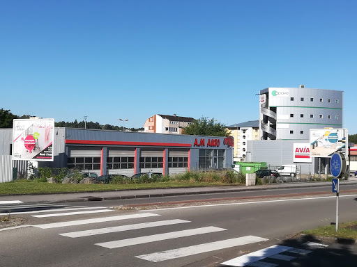 Photo 6 - Autodistribution