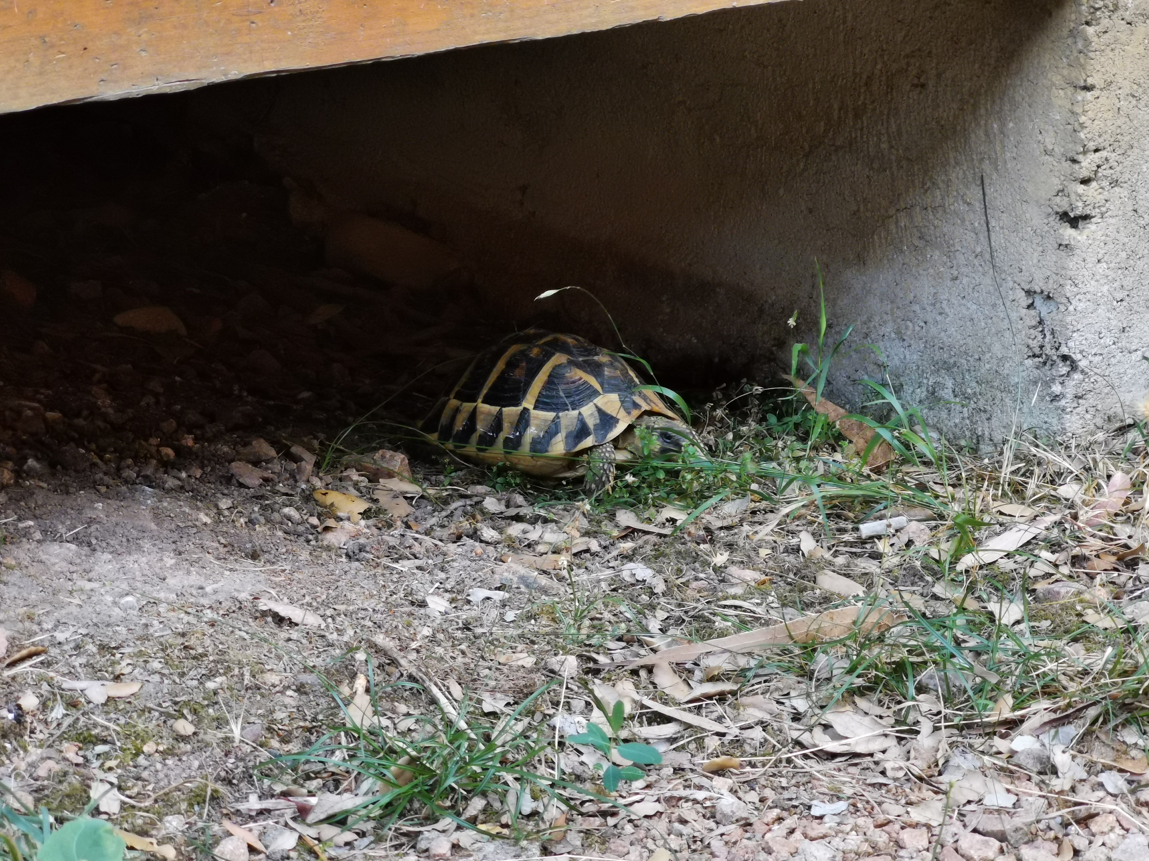 Photo n° 1 de l'avis de E. fait le 26/07/2019 à 20:23
