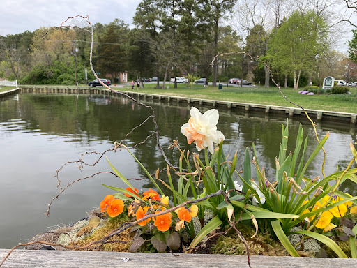 Boat Tour Agency «Patriot Cruises», reviews and photos, 213 N Talbot St, St Michaels, MD 21663, USA