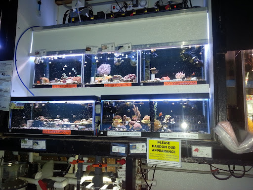 Pet Store «Laconia Pet Center», reviews and photos, 1343 Union Ave, Laconia, NH 03246, USA