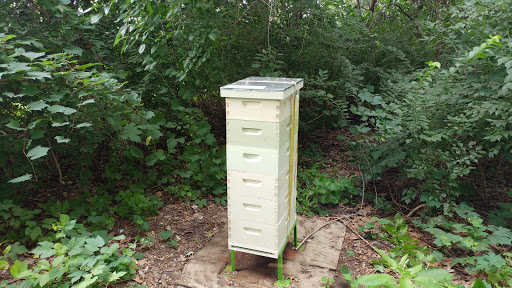 Golf Club «Detroit Golf Club», reviews and photos, 17911 Hamilton Rd, Detroit, MI 48203, USA