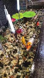 Photo n°104 de L'Aigle Céleste à Vannes ()