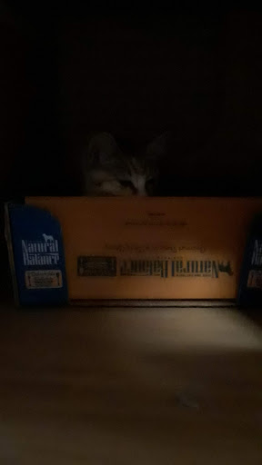 Pet Supply Store «Petco Animal Supplies», reviews and photos, 333 S State St a, Lake Oswego, OR 97034, USA