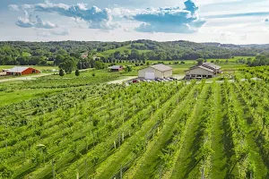 Madison County Winery image