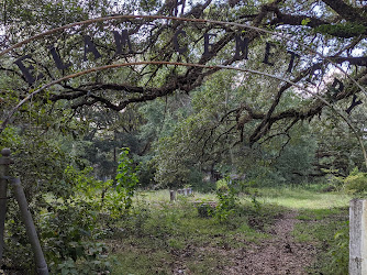 Elam Cemetery