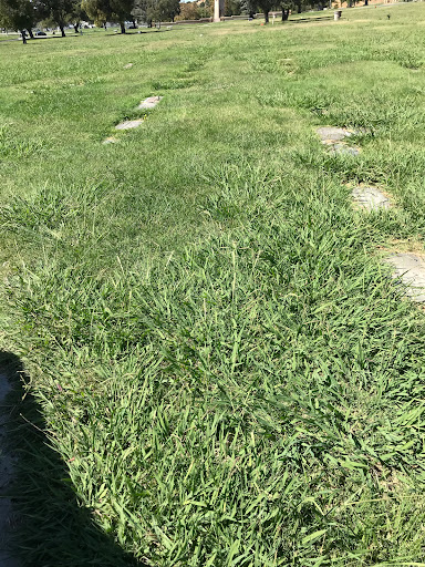 Funeral Home «Chapel of the Chimes, Hayward», reviews and photos, 32992 Mission Blvd, Hayward, CA 94544, USA