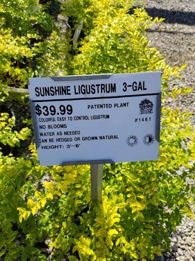 Plant Nursery «Guerin Nursery and Boutique», reviews and photos, 1418 Fall Creek Hwy, Granbury, TX 76049, USA
