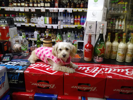 Liquor Store «Park Package Store», reviews and photos, 563 Park Ave, Bridgeport, CT 06604, USA