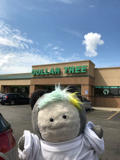 Dollar Store «Dollar Tree», reviews and photos, 12110 U.S. 71 B, Grandview, MO 64030, USA
