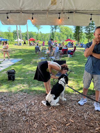 Vineyard «Mulberry Vineyards», reviews and photos, 95 Pound Rd, Chepachet, RI 02814, USA